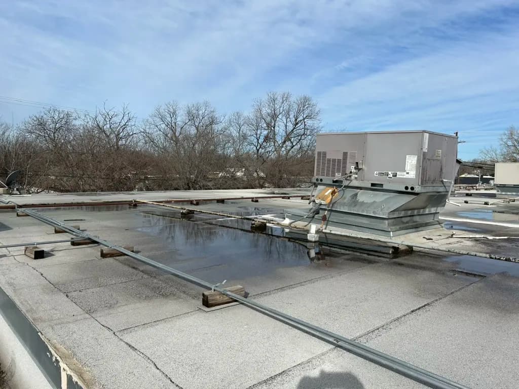 Signs Your Commercial Roof Needs Immediate Repair: When to Call Professionals image