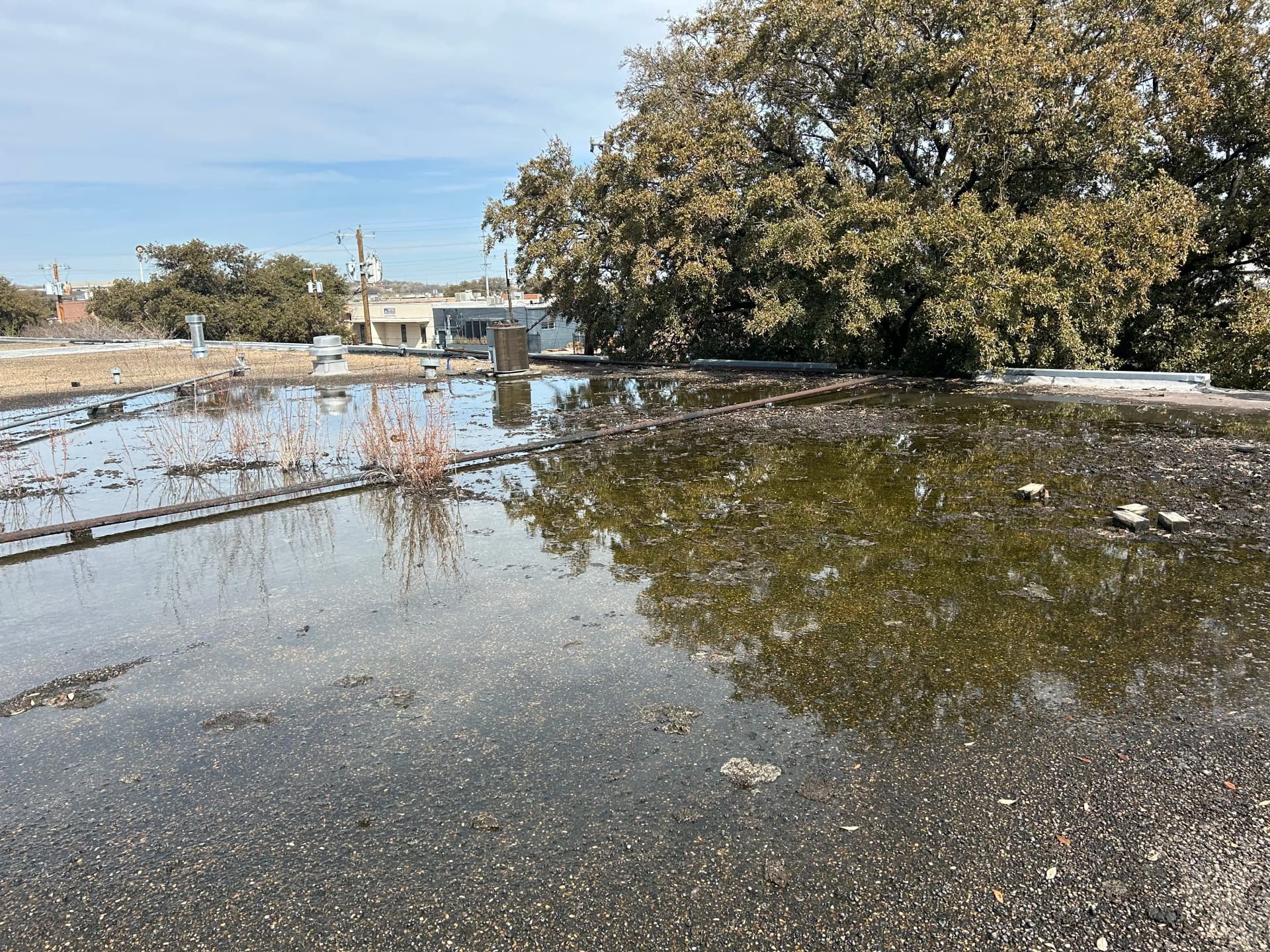 Blog post 5 Actions to Take After Rainstorm Commercial Roof Damage image