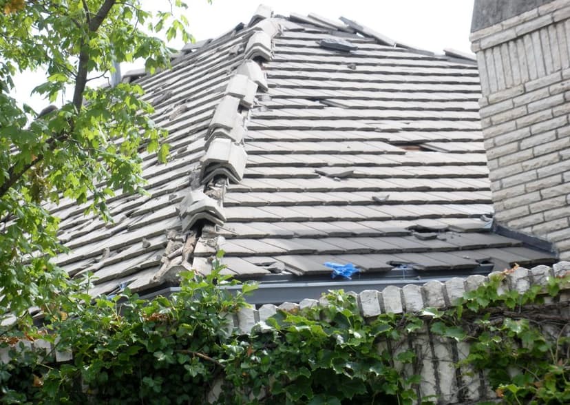 Damaged roof with cracked tiles and visible deterioration, surrounded by greenery.