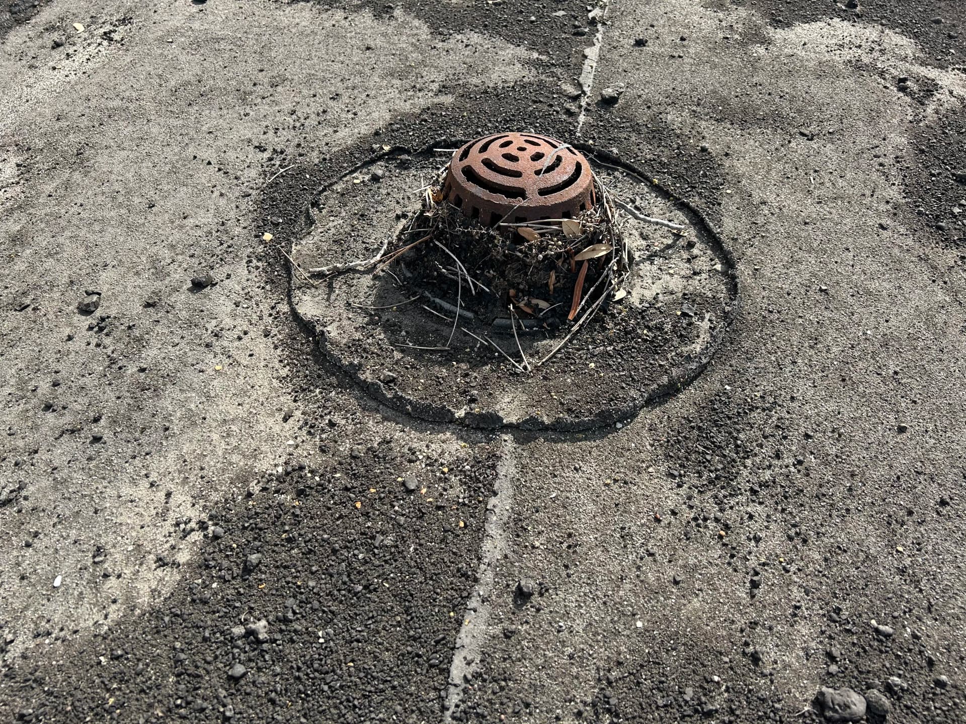Top 4 Most Common Roof Problems image